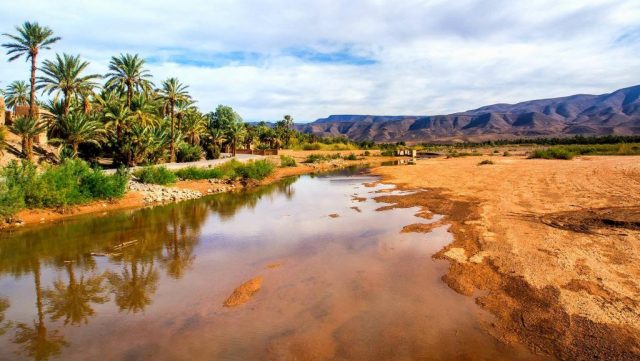 COP22 – Marrackech : Une première en Afrique, forcément l’Afrique en première ligne !