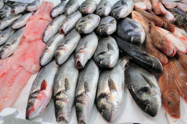 Le Maroc, premier producteur de poisson en Afrique