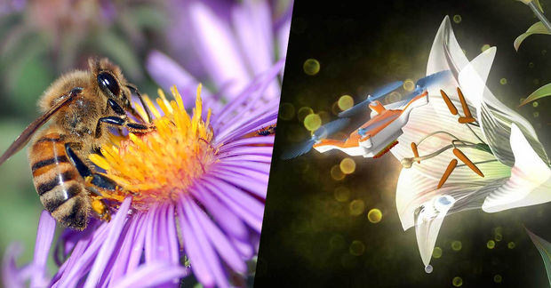 Innovation: Bientôt des mini-robots pollinisateurs pour remplacer les abeilles