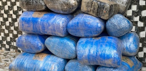 Coup de filet à Foundiougne : La douane met la main sur 507 kg de drogue