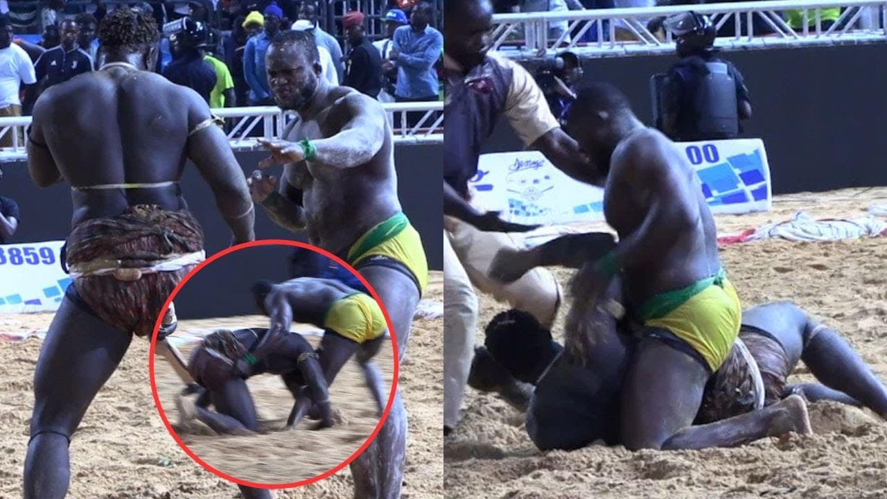 Modou Lo, au sommet de la gloire (Par Majib Sène)