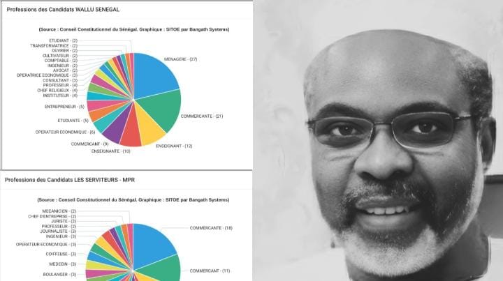 Faut-il Supprimer l’Assemblée Nationale ? (Graphiques)